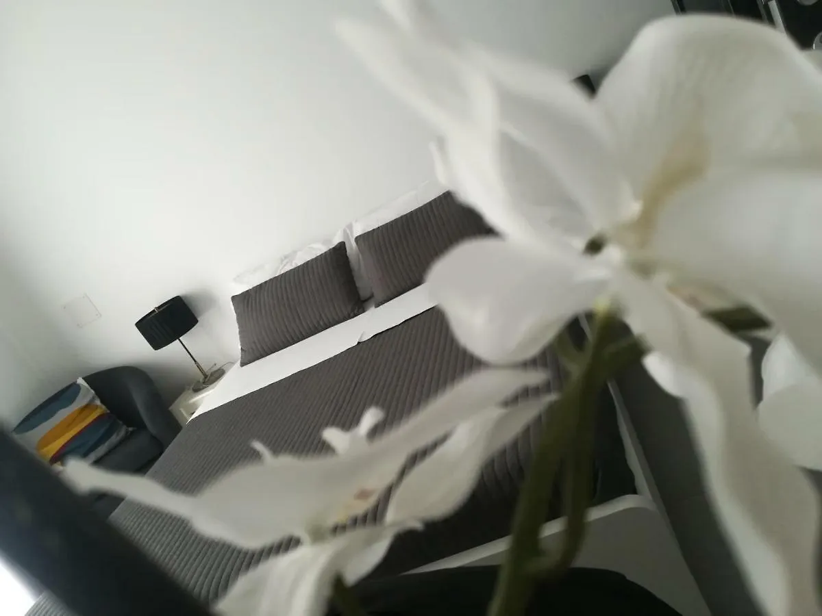 B&B Roda Barocco Noto Affittacamere